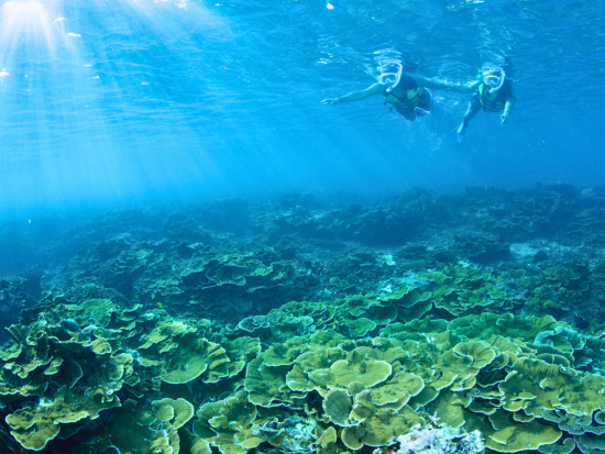 トローリング体験 完全貸切ボートチャーターで大物の魚を釣ろう！選べる水納島シュノーケル付プランあり＜3時間or6時間／恩納村＞ 