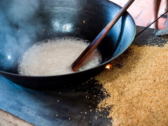 メコン川クルーズ＆永長寺観光ツアー　馬車乗車や蛇園など豊富なアクティビティ付きプランあり＜現地ガイド（日本語可）／象耳魚の昼食＞