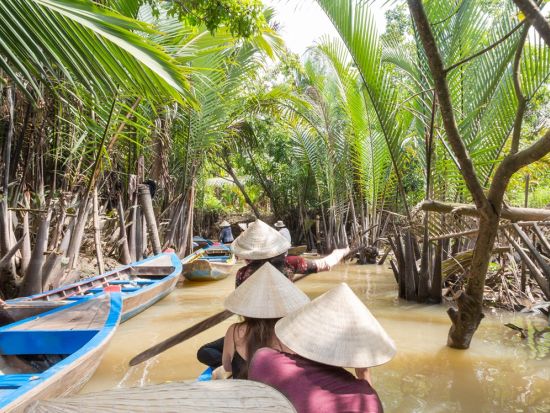 メコン川クルーズ＆永長寺観光ツアー　馬車乗車や蛇園など豊富なアクティビティ付きプランあり＜現地ガイド（日本語可）／象耳魚の昼食＞