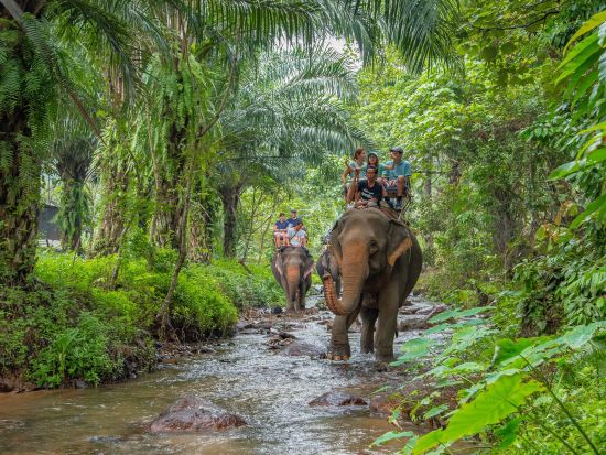 クラビ サファリツアー　大自然の中で四輪バギー＆象乗りを楽しむ ＜日本語または英語ガイド／専用車送迎プランもあり＞
