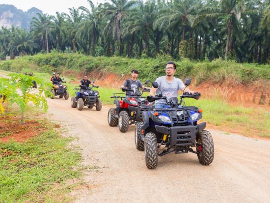 クラビ サファリツアー　大自然の中で四輪バギー＆象乗りを楽しむ ＜日本語または英語ガイド／専用車送迎プランもあり＞