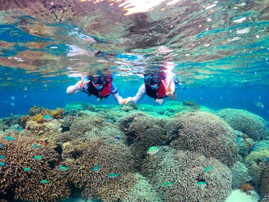 マリンアクティビティ4点セット バナナボート＋選べるマリンチューブ＋クリアカヤックorクリアSUP 津堅島の海を1日満喫！ ＜津堅島／昼食付＞