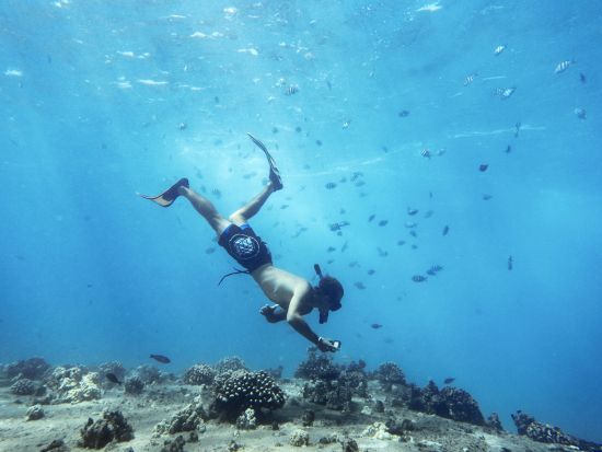 貸切ボートチャーター　コッペリア号　豪華クルーズでオアフ島西海岸を満喫！シュノーケリング体験付き＜1～12名／ワイキキ有料送迎／コオリナマリーナ発＞