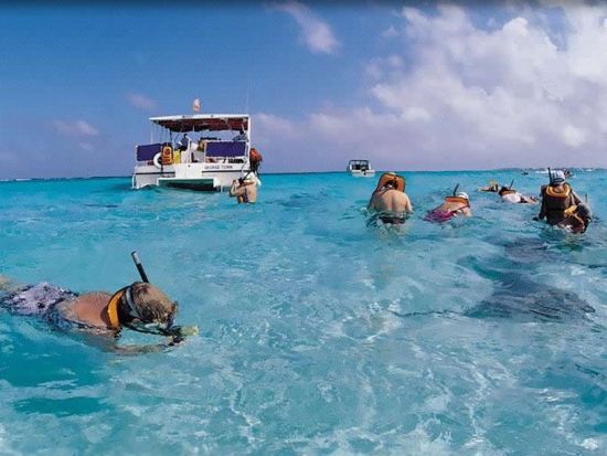 プライベートボートチャーター　ココスラグーンでアクティビティ（ビキニアイランドツアー、イルカ・ウミガメウォッチング、シュノーケリング）＜2～3時間／最大27名＞