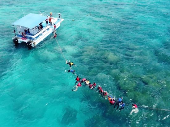 プライベートボートチャーター　ココスラグーンでアクティビティ（ビキニアイランドツアー、イルカ・ウミガメウォッチング、シュノーケリング）＜2～3時間／最大27名＞