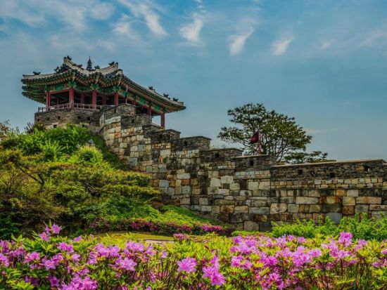  ソウル市内＆水原観光ツアー　世界遺産2か所を半日でさくっと観光！昌徳宮（チャンドックン）＋水原華城＋広蔵市場＜午前／日本語ガイド／貸切プランあり＞