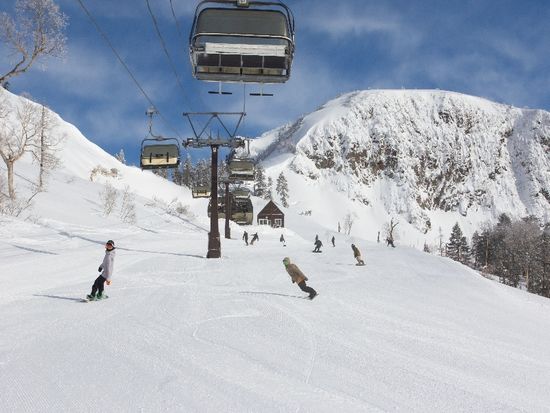 408e6755-5c1f-11ee-b4c2-0242ac120005_50504-01