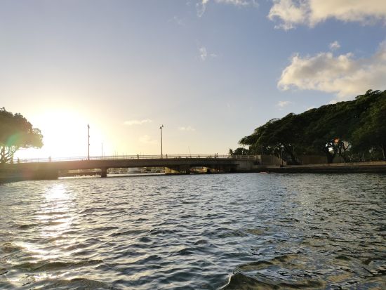 ゴンドラクルーズ　ベネチア風ゴンドラでアラワイ運河を進む　人気曲のメドレーをバックにロマンチックなひと時を！貸切プランあり＜ドリンク付き／ワイキキ発＞