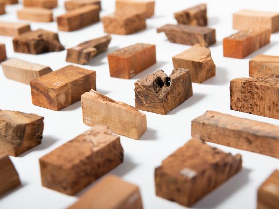 「屋久杉磨き体験」お香立て、一輪挿し、キーホルダーから選択可能 ～もので、ひとで、伝えていく屋久島～  by YAKUSHIMA BLESS