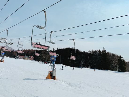 502d792e-53a3-11ed-8d2a-0242ac120005_31771-01