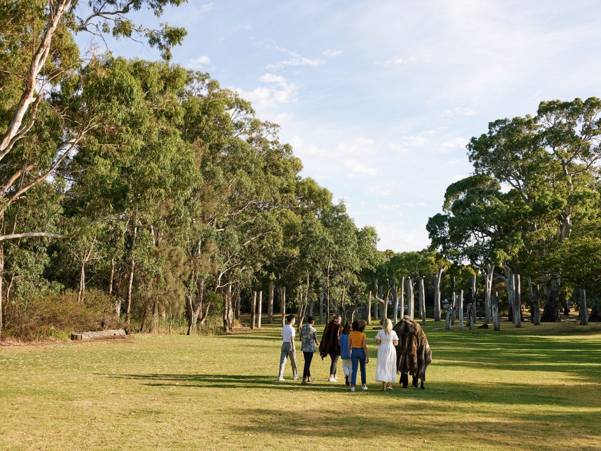 先住民族アボリジニがご案内！ワーリパリンガ・ウェットランズ保護区