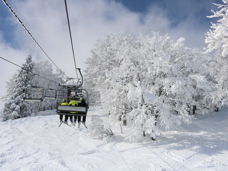 0b920e51-d4b4-11eb-9f11-0242ac18