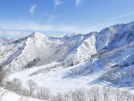 54fea0fb-630f-11ec-8d2a-0242ac12