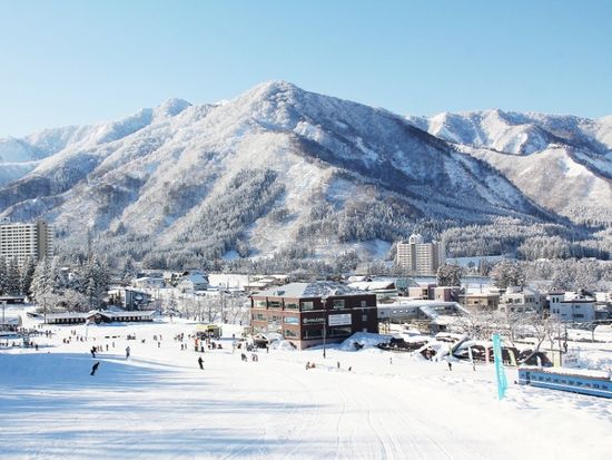 bd04c280-33cb-11ed-8d2a-0242ac12