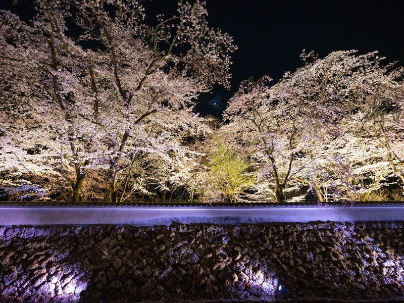 pixta_88760358_M