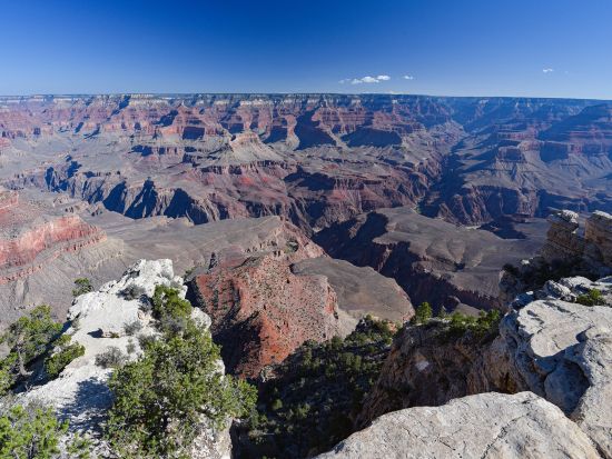 グランドキャニオン国立公園 日帰り観光ツアー　ルート66の町セリグマン立ち寄りあり ＜昼食付き／日本語ガイド＞