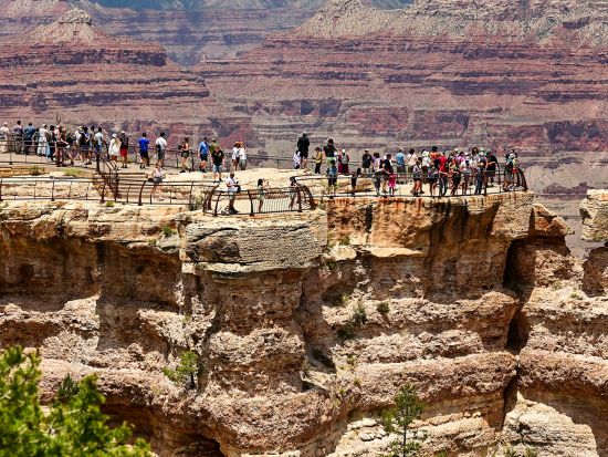 グランドキャニオン国立公園 日帰り観光ツアー　ルート66の町セリグマン立ち寄りあり ＜昼食付き／日本語ガイド＞