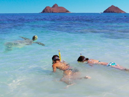 カイルアビーチ送迎シャトルサービス　嬉しい5時間滞在！ビーチグッズなど各種レンタル付き＜日本語スタッフ／ランチ付＞