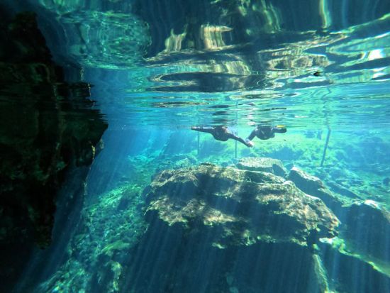 カリブ海もセノーテも1日で制覇！コスメル島＆選べるセノーテ弾丸ツアー プラヤ・デル・カルメン立ち寄り可＜貸切／日本人インストラクター／昼食付き／カンクン発＞