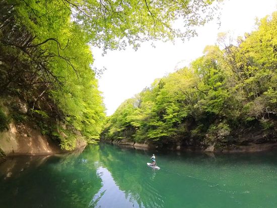 f7bea7be-b48b-4817-960b-d44fb5e6a536