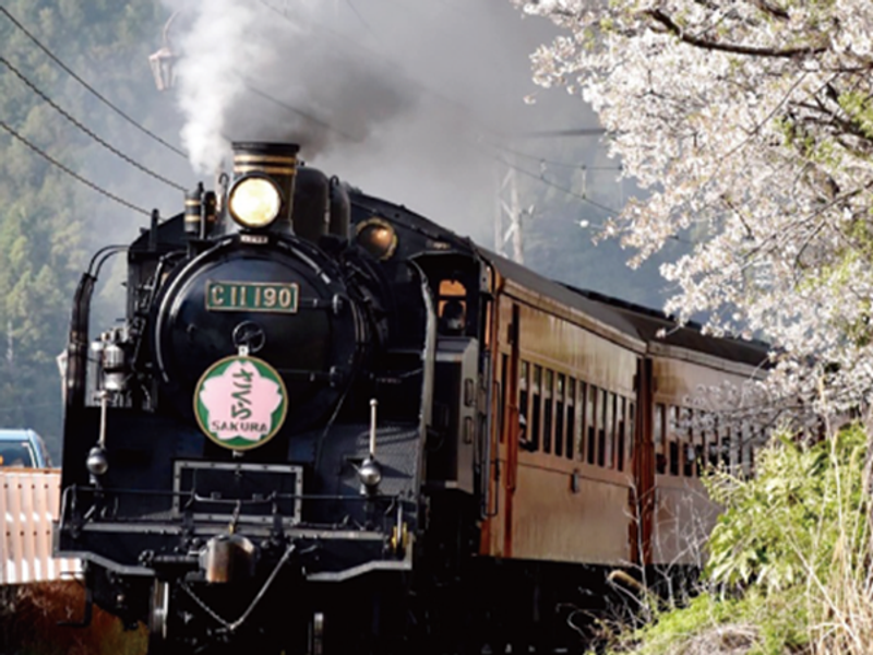 60703-10　さくらSL