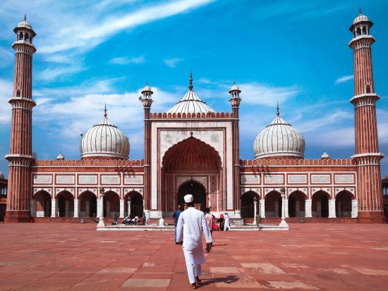 北インドを満喫する6泊7日周遊ツアー　ゴールデントライアングルと美しき色彩のラジャスタンを楽しむ ＜貸切／最大定員6名／食事付き／日本語ガイド＞