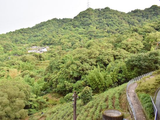 茶路古道
