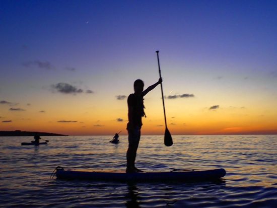 ウミガメシュノーケリング＋サンセットSUP 人気アクティビティを同時に楽しむ贅沢プラン ウミガメ遭遇率99%！＜約4時間／当日予約可／宮古島＞