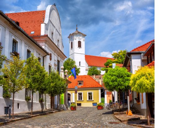 バロックの町センテンドレ半日観光＜貸切／日本語ガイド／ブダペスト発＞