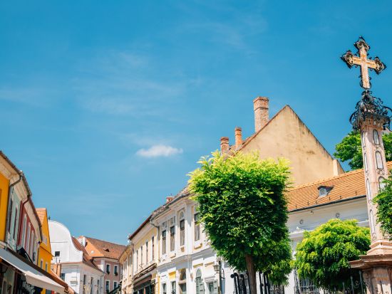 バロックの町センテンドレとヴィシェグラード1日観光＜5～9月／貸切／日本語ガイド／ブダペスト発＞