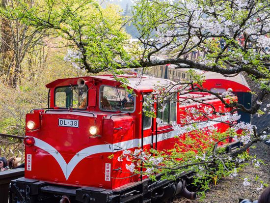 Taiwan_Alishan_Forest Railway_pixta_73204171