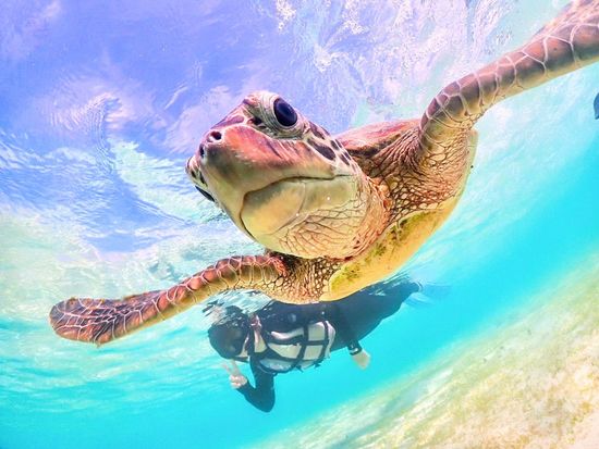 signed-url-redirect (6)