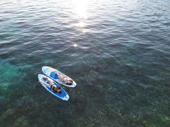 ウミガメシュノーケリング＋SUP 2種類のアクティビティを楽しめる贅沢プラン ウミガメ遭遇率99%！写真データ無料プレゼント付＜約4時間／当日予約可／宮古島＞