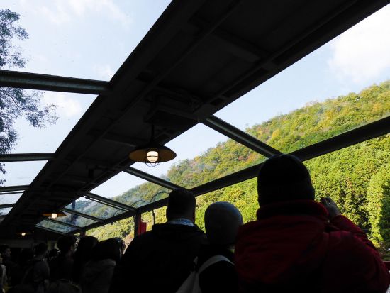 嵯峨野トロッコ列車 片道乗車券 事前予約＜トロッコ嵯峨駅～トロッコ亀岡駅＞