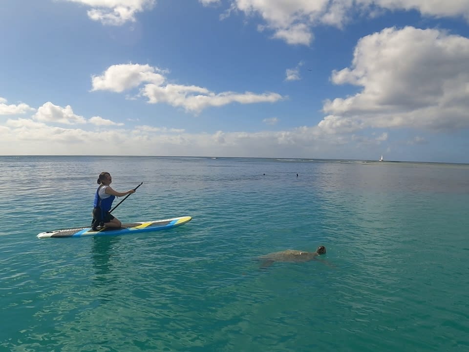 ハワイ SUP(スタンドアップパドル) | オアフ島(ホノルル) 旅行の観光・オプショナルツアー予約 VELTRA（ベルトラ）