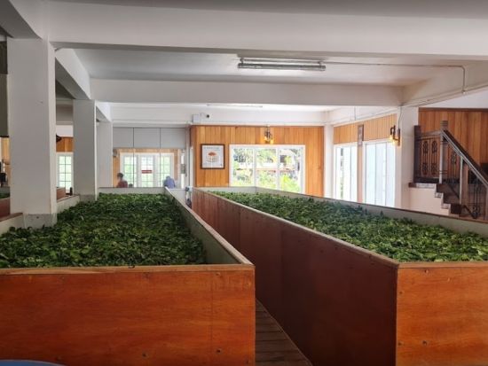 スリランカ4泊5日周遊ツアー　ニゴンボ＆ダンブッラ＆シーギリヤ＆キャンディ＆コロンボ ＜貸切／最大定員6名／食事付き／日本語ガイド＞