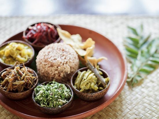 スリランカ観光ツアー　ウミガメ保護施設の見学＆アーユルヴェーダ体験を楽しむ ＜貸切／最大定員6名／食事付き／日本語ガイド＞