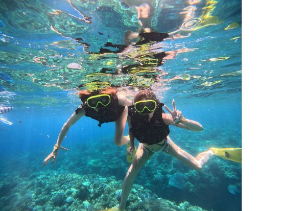 水納島ボートシュノーケリング　マリンアクティビティ付きプランもご用意！フリータイムは海水浴で水納島の海を満喫＜4～10月／本部町発＞