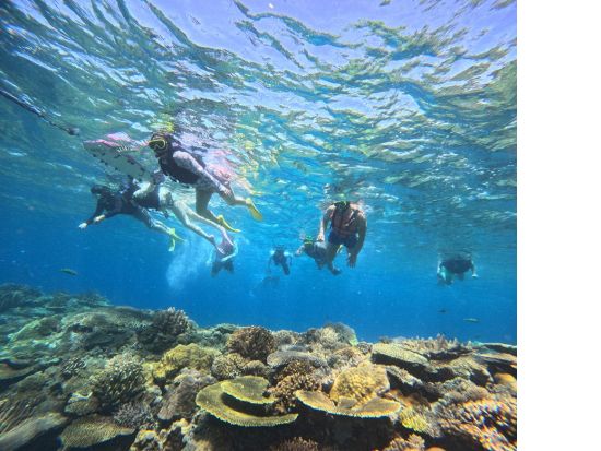 水納島ボートシュノーケリング　マリンアクティビティ付きプランもご用意！フリータイムは海水浴で水納島の海を満喫＜4～10月／本部町発＞