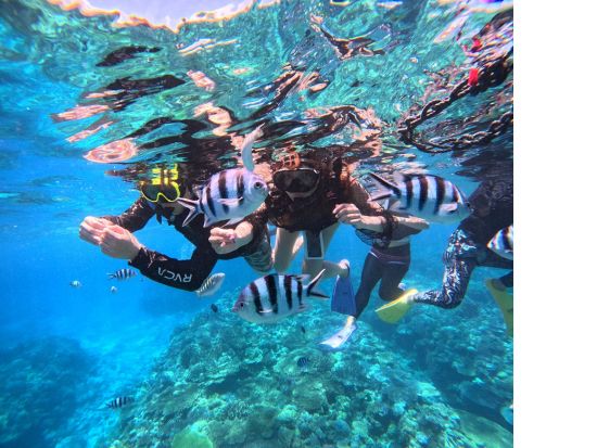 水納島ボートシュノーケリング　マリンアクティビティ付きプランもご用意！フリータイムは海水浴で水納島の海を満喫＜4～10月／本部町発＞