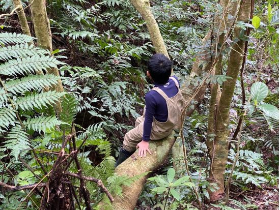 探検トレッキングツアー　奇跡の森「やんばる」の広大な敷地を舞台に自然で遊び、自然で学ぶ唯一無二のアクティビティ＜午前or午後／沖縄本島＞ 