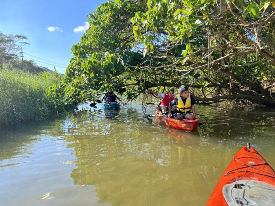 塩屋湾のカヤックツアー　世界自然遺産「やんばる」の大自然に囲まれてここでしか味わうことができない海の上からの絶景を満喫＜3コース／午前or午後／沖縄本島＞