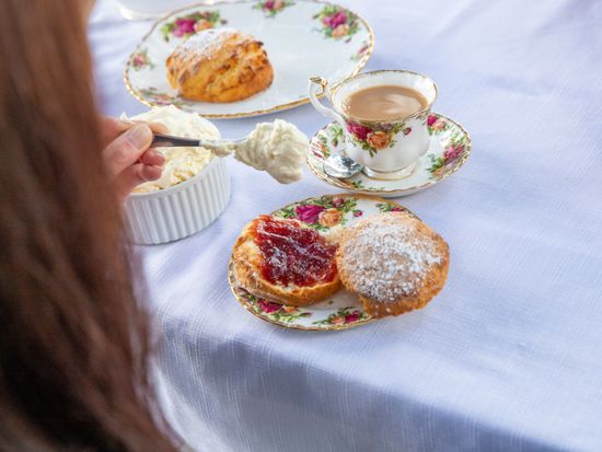 Show Me Melbourne Sports Tour_NECI-2233