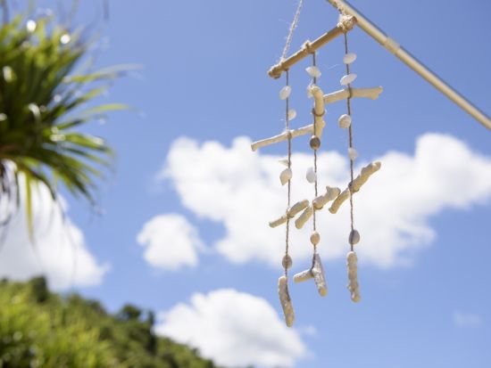 沖縄伝統文化手作り体験 ジンベイザメ絵付け・エコバック・キャンドル・さんご風鈴 から選択可能 ＜4歳～／約50分／本部町＞by もとぶ元気村