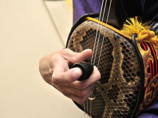 三線教室 琉球の音色を奏でる三線体験 ～沖縄の伝統文化を学ぼう～＜9歳～／約50分／本部町＞by もとぶ元気村