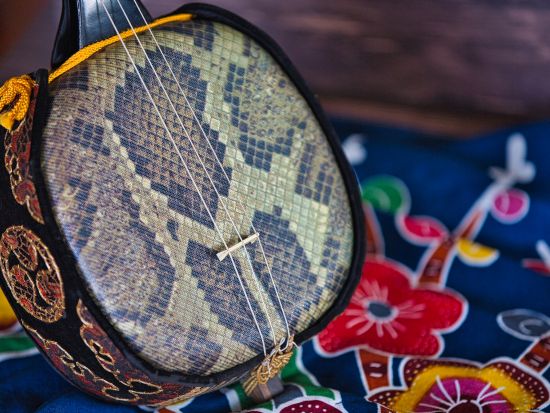 三線教室 琉球の音色を奏でる三線体験 ～沖縄の伝統文化を学ぼう～＜9歳～／約50分／本部町＞by もとぶ元気村