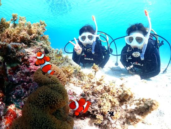 幻の島上陸＆体験ダイビング 選べる3プラン シュノーケリング付プランあり 国内最大級のサンゴ礁石西礁湖へ＜半日・1日／昼食付プランあり／石垣島＞