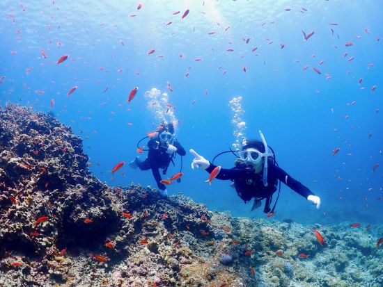 半日体験ダイビング＆ウミガメシュノーケリング 石垣島の海を効率よく堪能！GoPro無料レンタルあり◎＜半日／石垣島＞