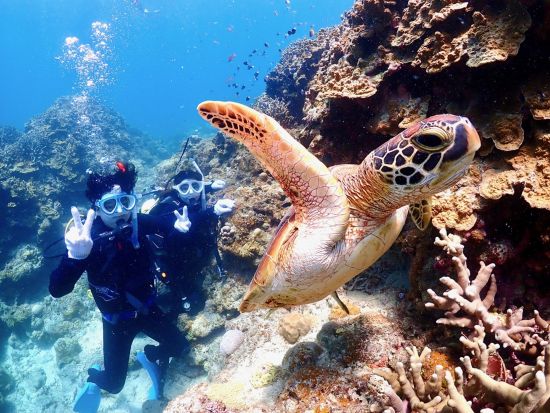 幻の島上陸＆体験ダイビング 選べる3プラン シュノーケリング付プランあり 国内最大級のサンゴ礁石西礁湖へ＜半日・1日／昼食付プランあり／石垣島＞