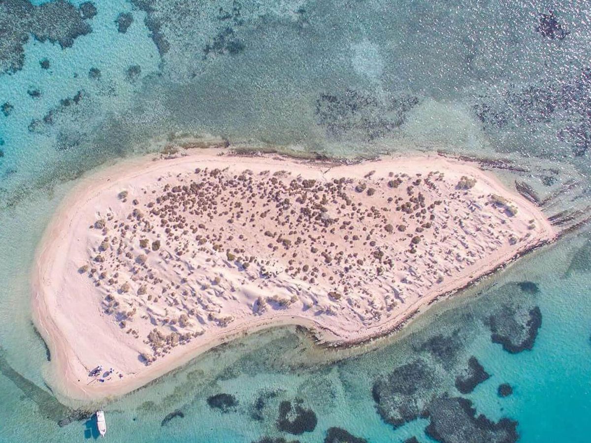 紅海に浮かぶ無人島で遊ぶ！バリディ島1日ツアー＜英語ガイド／ホテル送迎あり／ヤンブー発＞ サウジアラビアの観光・オプショナルツアー専門